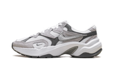 AL8 WMNS"Smoke Grey Metallic Silver" FJ3794 101