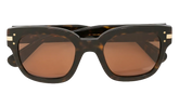 Classic Logo Sunglasses "Brown / Brown / Gold" XA41763AC BBG