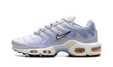 Air Max Plus WMNS"Daybreak" DZ3670 004