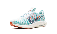 Pegasus Turbo Next Nature Wmns"Jade Ice" DM3414 300