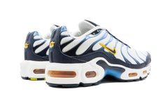 Air Max Plus CD0609 100
