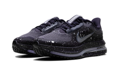 Pegasus Premium SE WMNS"Cave Purple" IH0861 500