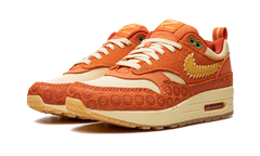 AIR MAX 1 PRM MNS WMNS "Somos Familia" DZ5352 847